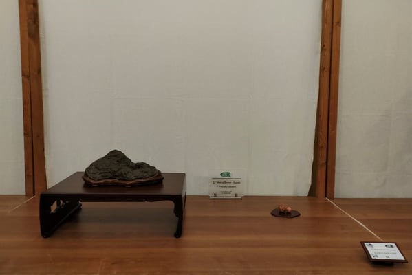 S9. Kamogawua ishi (Giappone) - Amatori Bonsai e suiseki Genova