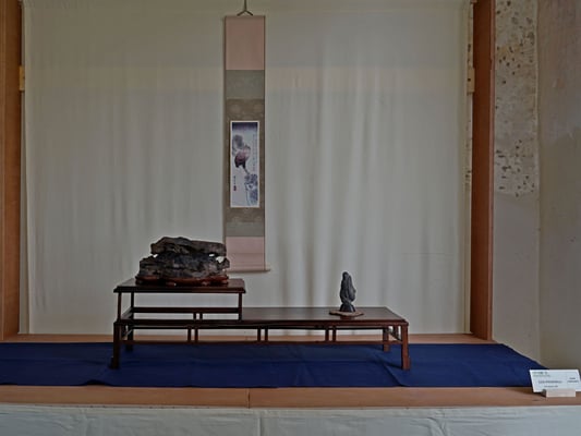 Ezio Piovanelli IBS - Fuori concorso