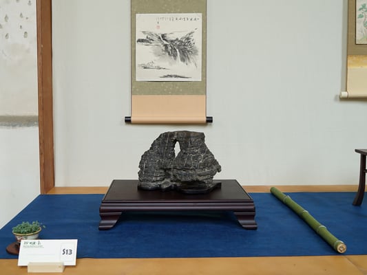 S13 - Scuola Suiseki do Groane