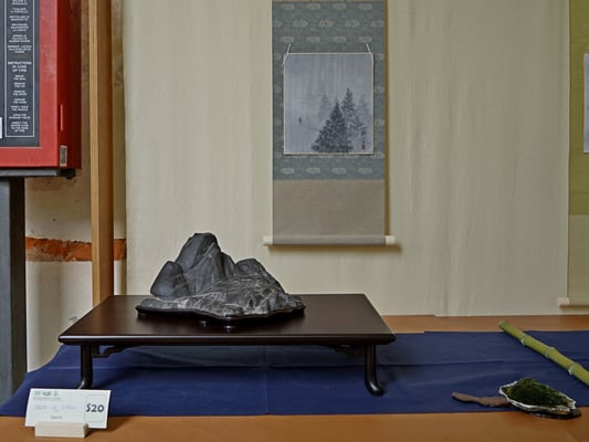 S20 - Verso la cima (Liguria) - Bonsai Blu