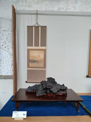 S15 - Araiso (Lombardia) - Ass. Arte e Cultura Bergamo Bonsai