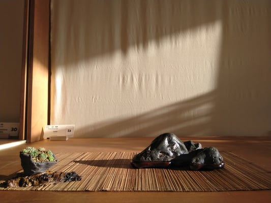 S3 - Isola - Bonsai Blu