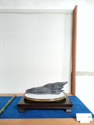 S22 - Pietra oggetto (Lombardia) - Brianza Bonsai