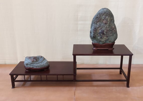 S12. Multiplo autunnale - Bonsai do Groane