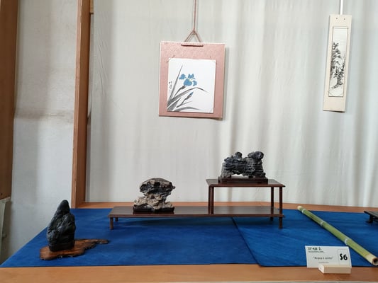 S6 - Acqua e vento (Lombardia) - Bonsai do Groane