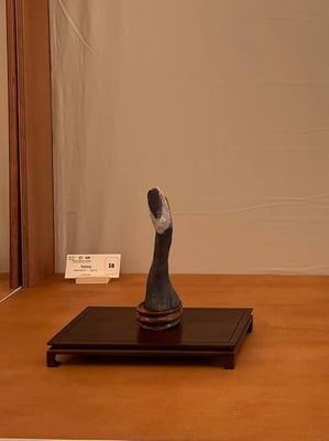 S8 - Tolstoj - Palombino (Italia - Liguria) - Amatori Bonsai e Suiseki Genova