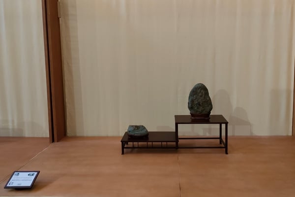 S12. Multiplo autunnale - Bonsai do Groane