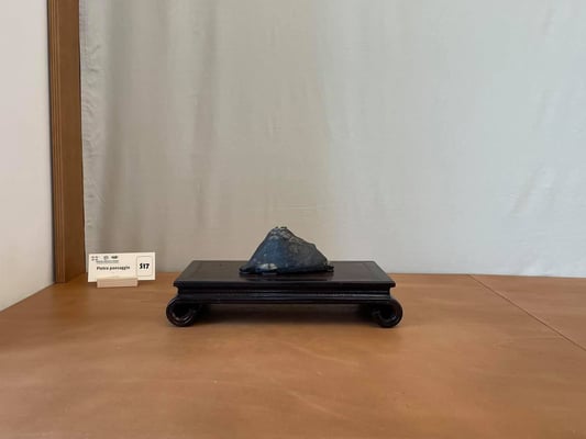 S17 - Pietra paesaggio - Scuola suiseki do Groane