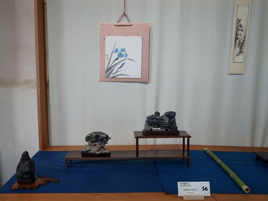 S6 - Acqua e vento (Lombardia) - Bonsai do Groane