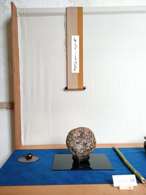 S9 - Flower Stone (California) - Amatori Bonsai e Suiseki Genova