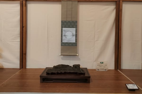 S2 - F64 - Ansel Adams Tribute - Bonsai Blu