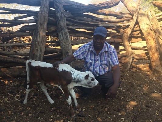 First steps with her new family