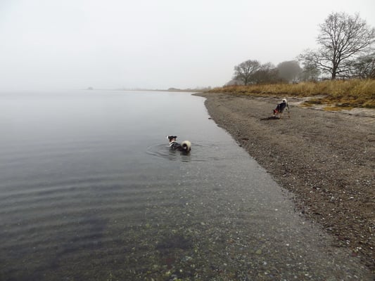 Für ein Bad ist es nie zu kalt!