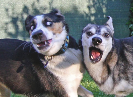 Ayla und Baju senden BLICKE!