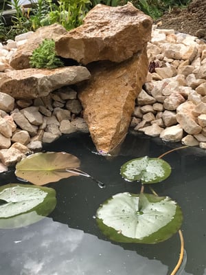 Einstiegshilfe für Reptilien