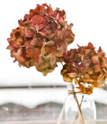 Praxis für Energetik Einsiedeln Beatrix Hensler