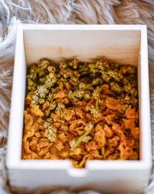 Praxis für Energetik Einsiedeln Beatrix Hensler