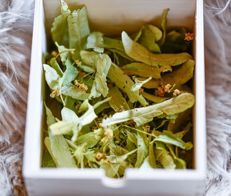 Praxis für Energetik Einsiedeln Beatrix Hensler