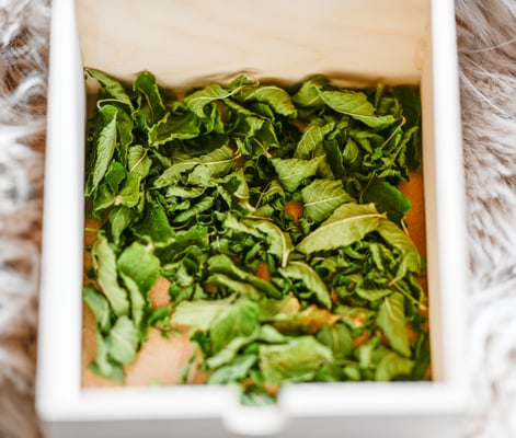 Praxis für Energetik Einsiedeln Beatrix Hensler