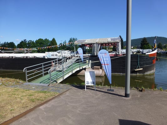 WILLI in Miltenberg © pm 02.07.2022