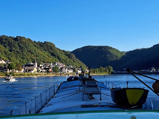 Kestert im Tal der Loreley (© 19.09.2025 Andy R.)