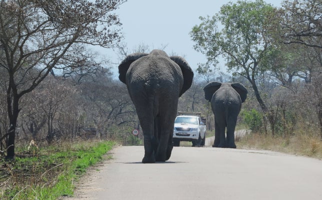 Besser abwarten . . .