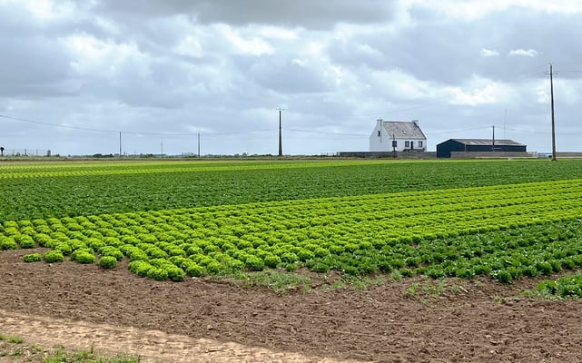 In der Bretagne wird im grossen Stil Gemüse angebaut. Das Pedalen abseits der Küste hat seinen speziellen Reiz.