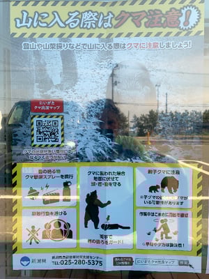 Es gibt sehr viele Braun- und Kragenbären. Vorsicht beim wild Zelten.