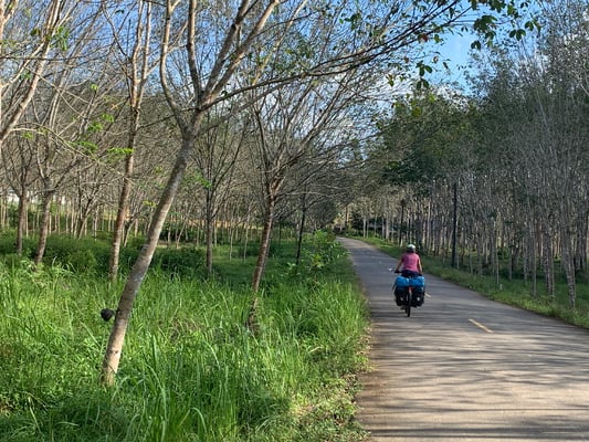 Solche Strässchen könnten wir uns stundenlang gefallen lassen.