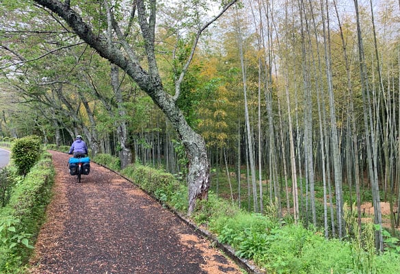 Radwege, die wir uns wünschen würden.