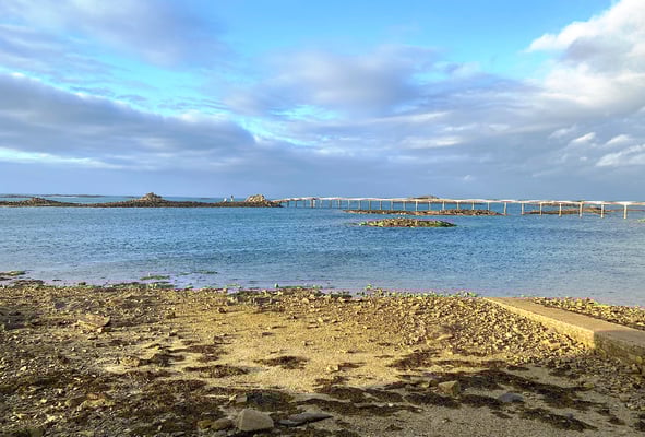 Blick aus unserem Hotelfenster direkt am Meer in Roscoff.