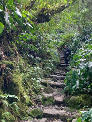 Treppe in den Himmel. Vier Stunden beissen wir uns hoch.