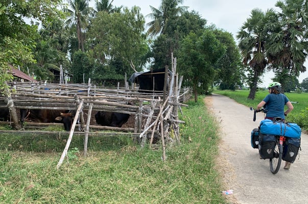 Kleine Strässchen versprechen Fahrspass. Ab und zu erschrecken uns Hunde.
