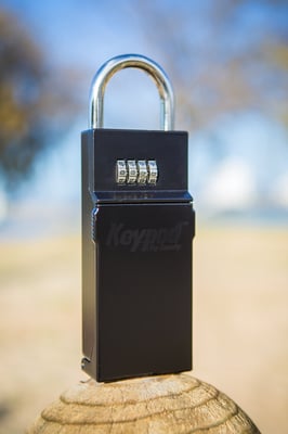 Curve Surf - Freshcoat Creative Graphic Design & Photography