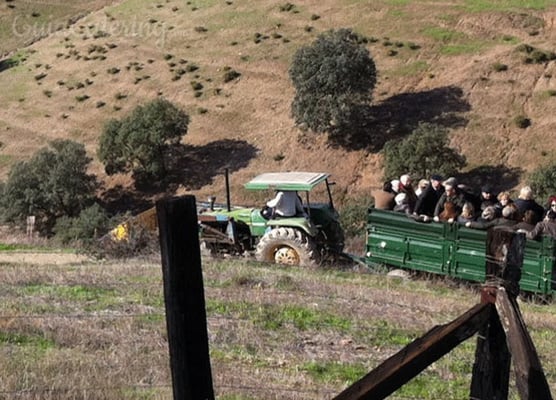 visita a la ganadería Huelva