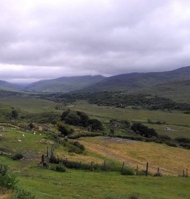 Nahe vom Killarney Nationalpark (Bild M. Prizio)