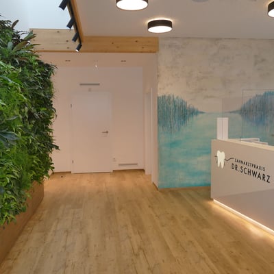 Nachhaltige Zahnarztpraxis