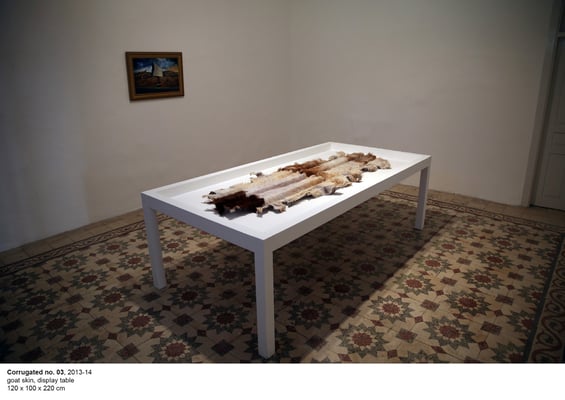 <a href="http://www.nidasinnokrot.com/text/corrugated-no-3/" target="_blank" style="color: #FFFFFF; float: right;">info</a>