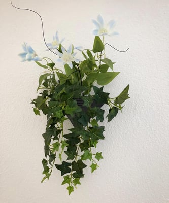 clematisblüten mit efeu wanddekoration