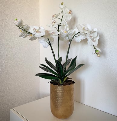 Orchideen in Goldgefäss