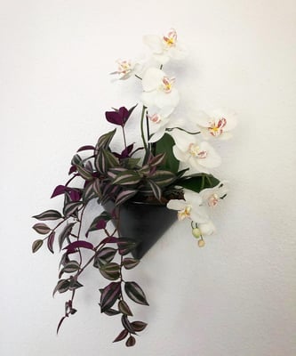 wand deko orchideen mit hängenden pflanzen