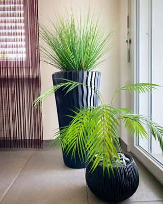 Gräser und Palmenblätter in Kombination