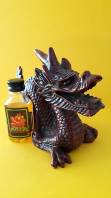 Van een creatieve fan