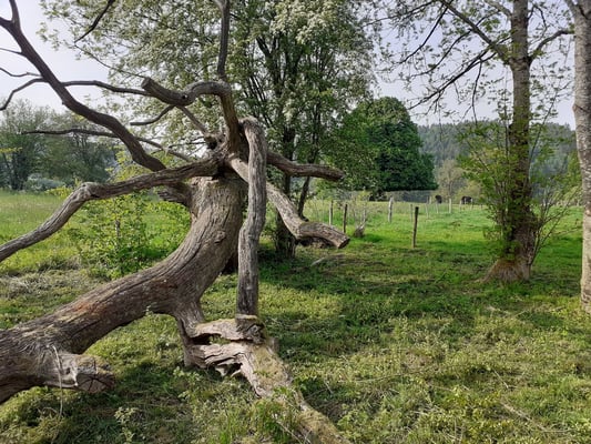 Altitude 445 - Buiten