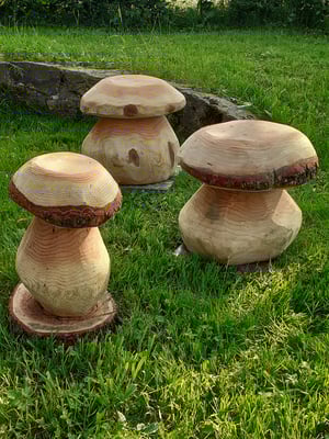 Altitude 445 - La Chouette s'amuse - Tuin