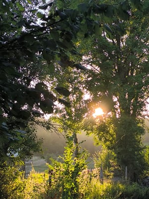 Altitude 445 - La Chouette s'amuse - Zomermorgen