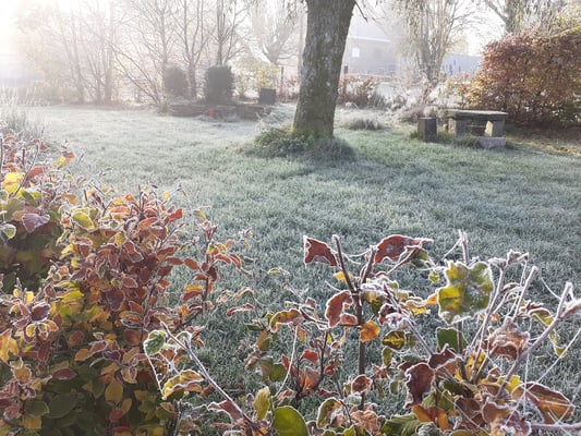 Altitude 445 - La Chouette s'amuse - Matin d'automne