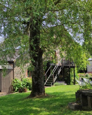 Altitude 445 - La Chouette s'amuse - Jardin