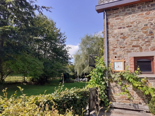 Altitude 445 - La Chouette s'amuse - Jardin