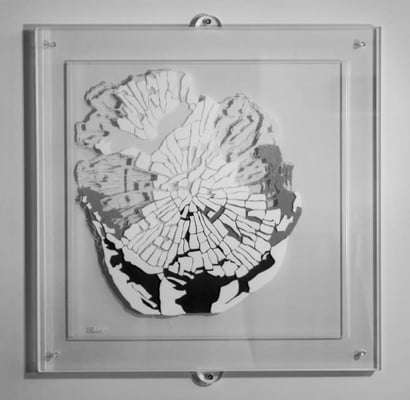 BAUMPOESIE,50X50, ACRYL AUF ACRYLGLAS, PREIS AUF ANFRAGE